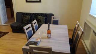 Апартаменты Centro Apartamentai Вильнюс Апартаменты эконом-класса с 1 спальней и балконом-20