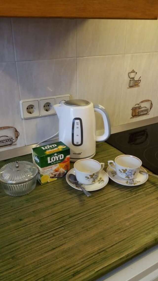 Апартаменты Centro Apartamentai Вильнюс-37